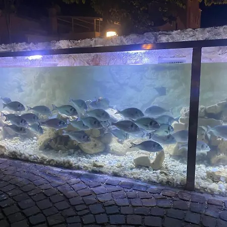 Luxury Old Town With Sea View * Rogoznica (Sibenik-Knin)