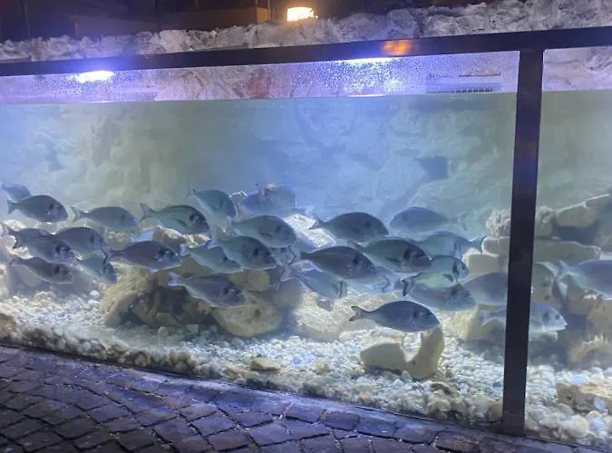 Luxury Old Town With Sea View * Rogoznica (Sibenik-Knin)