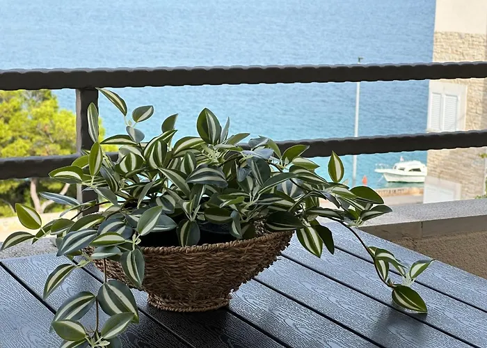 Luxury Old Town With Sea View 아파트 로고즈니차